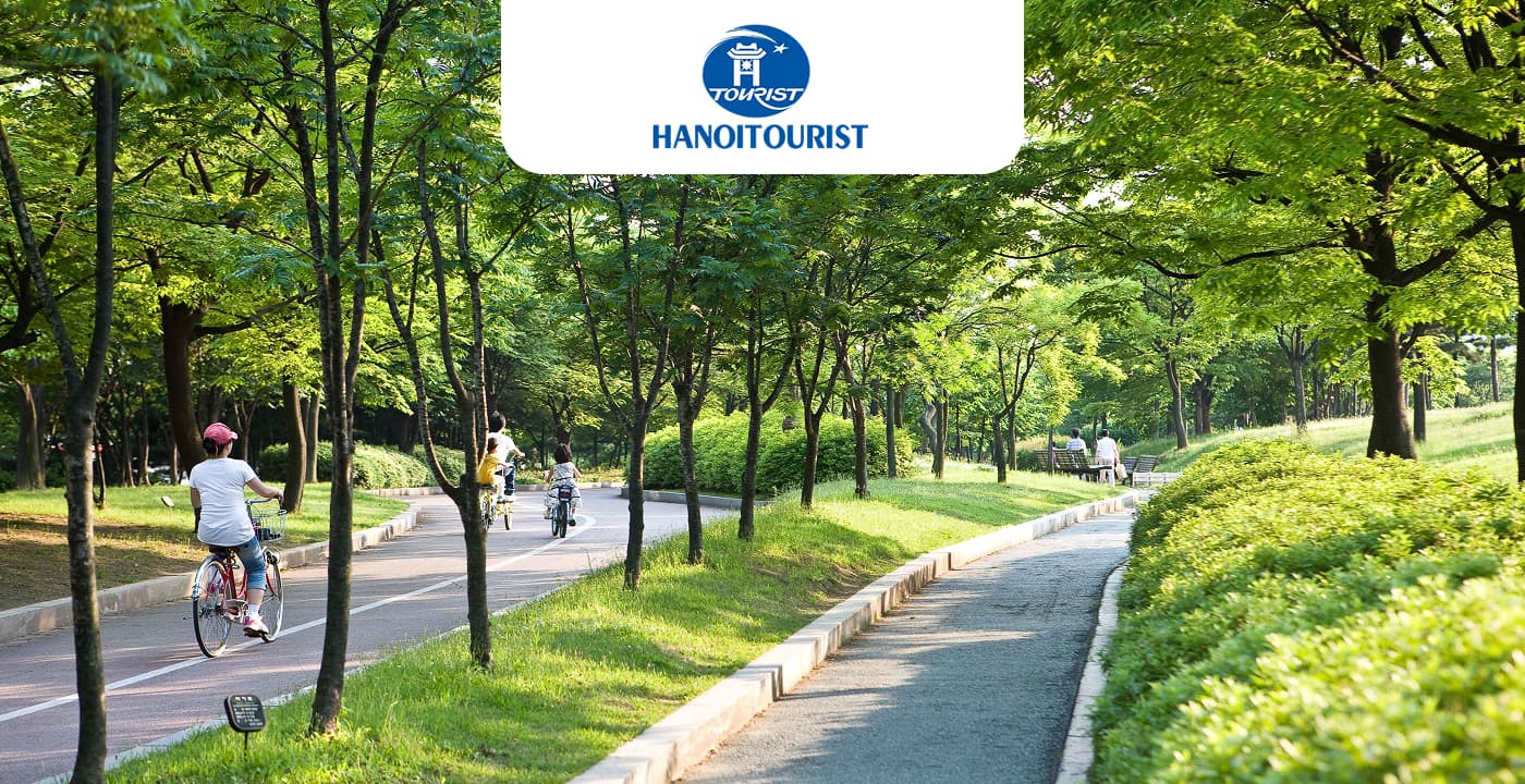 Trải nghiệm văn hóa độc đáo dưới trời Hạ Seoul