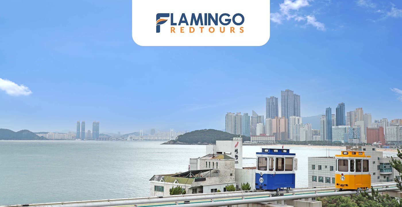 Mùa Hạ thơ mộng qua nhiều thành phố